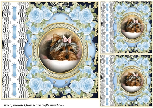 3 Blue lace pups card front/toppers 9