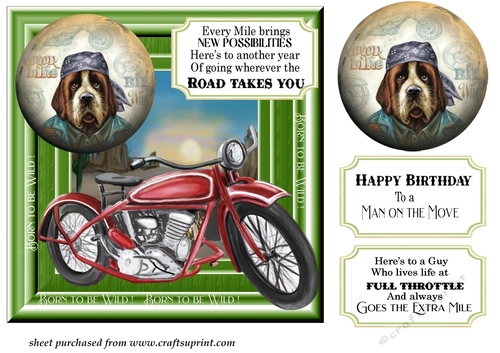 Born to be wild motorbike card front 2