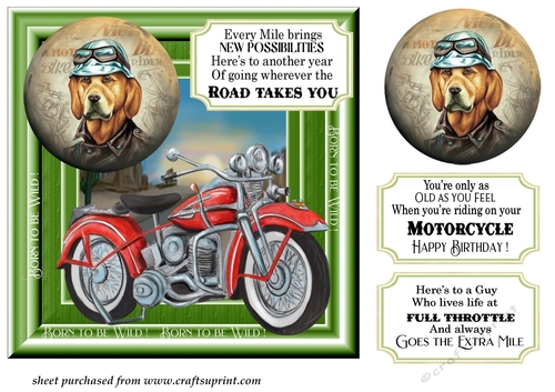 Born to be wild motorbike card front 3