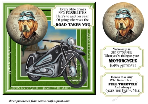 Born to be wild motorbike card front 4