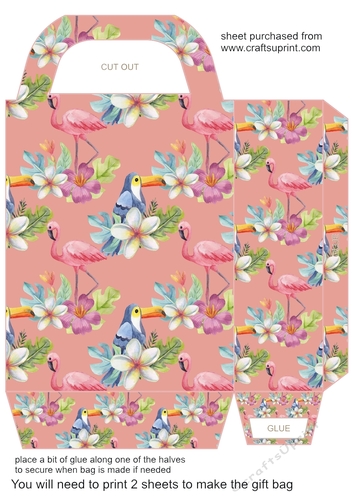 Tropical gift bag 1