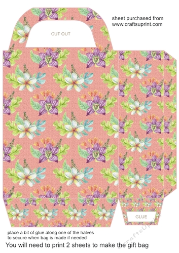 Tropical gift bag 4