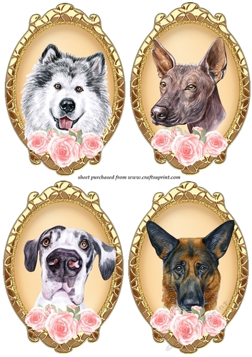 4 cute rose pup toppers 5