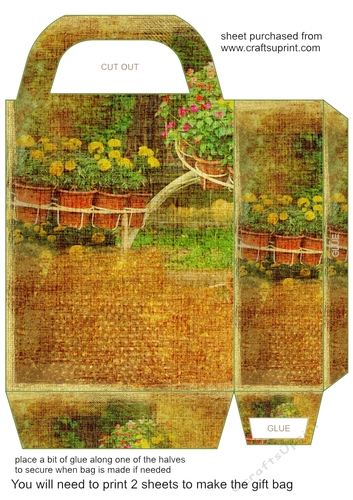 Scene gift bag 6