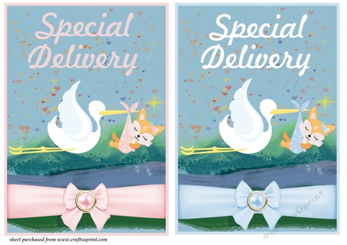 Special delivery girl and boy card fronts