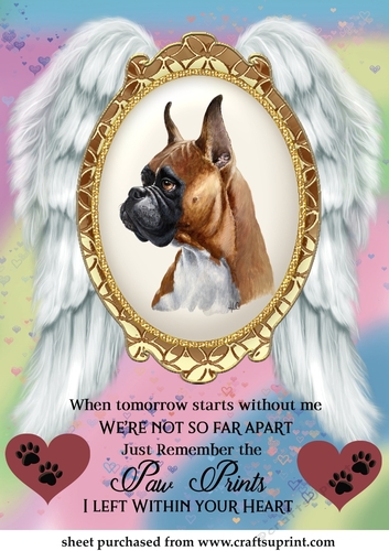 When tomorrow pet loss topper 11