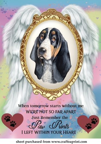 When tomorrow pet loss topper 12