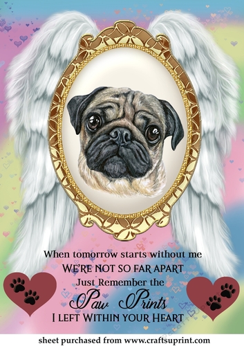 When tomorrow pet loss topper 14