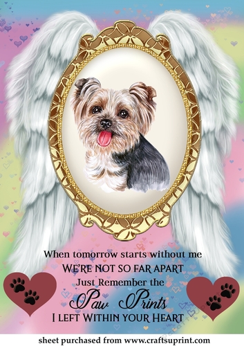 When tomorrow pet loss topper 15