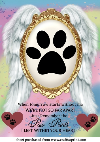 When tomorrow pet loss topper 17(paw)