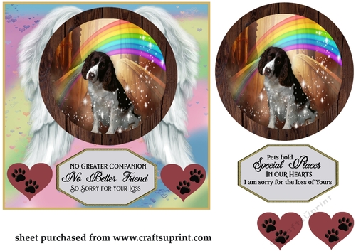 No greater companion pet loss card front 1