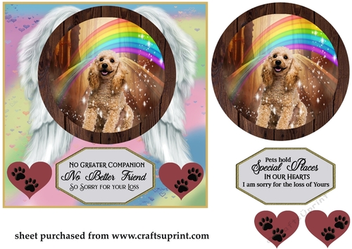 No greater companion pet loss card front 6