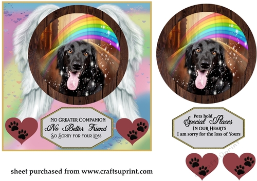 No greater companion pet loss card front 8