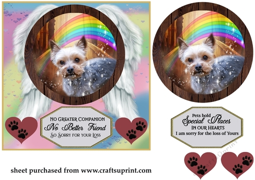 No greater companion pet loss card front 9