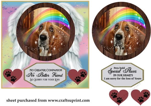 No greater companion pet loss card front 11