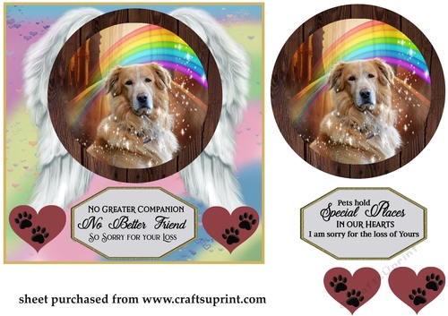 No greater companion pet loss card front 12