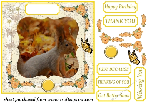 Floral squirrel card front 2