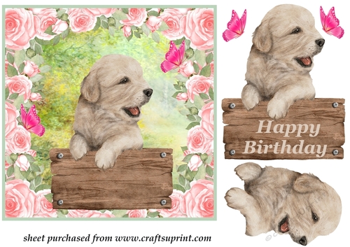 Floral pup card front 4