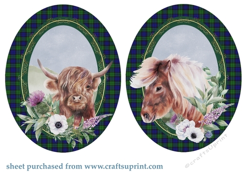 2 Oval tartan floral animal toppers 1