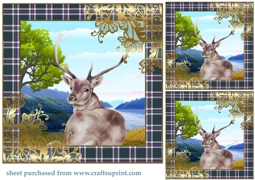 3 Highland stag card front/topper 3
