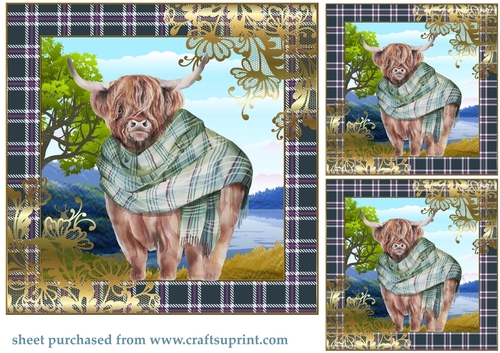 3 Highland cow card front/toppers 1