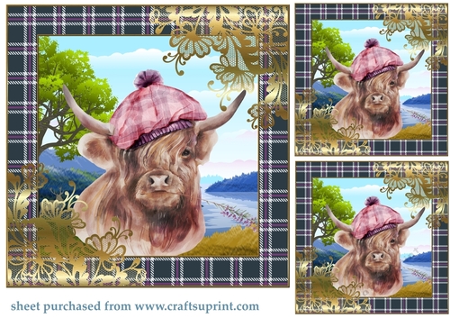 3 Highland cow card front/toppers 2