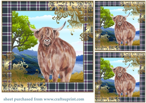 3 Highland cow card front/toppers 3