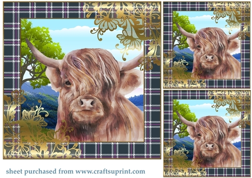 3 Highland cow card front/toppers 4