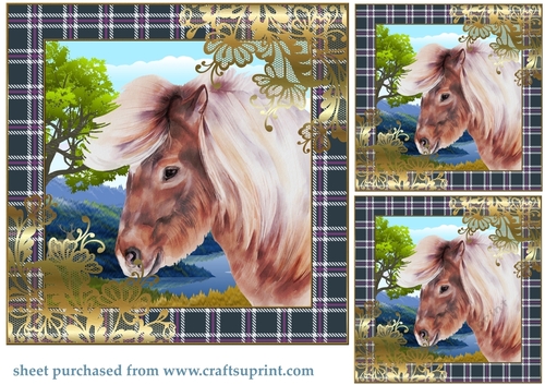 3 Highland pony card front/toppers 3