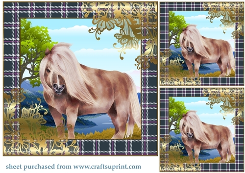 3 Highland pony card front/toppers 2