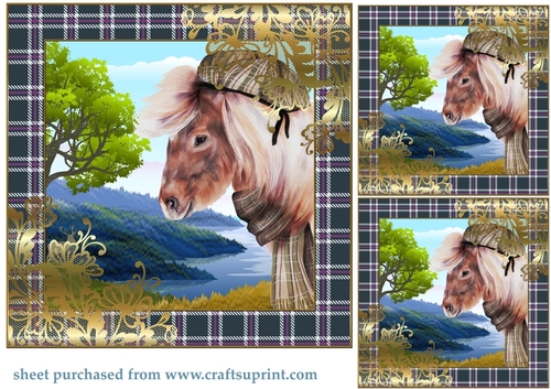 3 Highland pony card front/toppers 