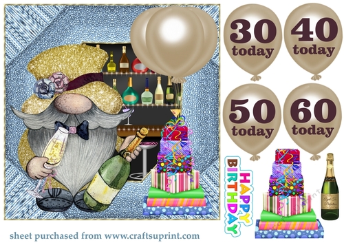 Age 30-60 male Birthday champagne gnome card front