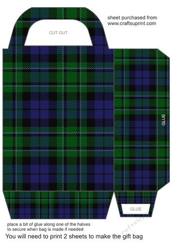 Tartan gift bag 1