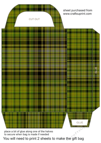Tartan gift bag 2