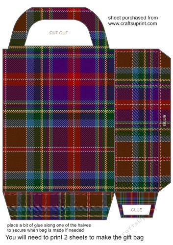 Tartan gift bag 4