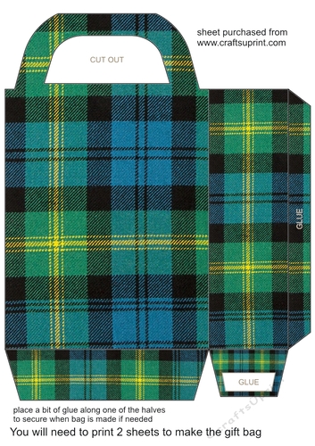 Tartan gift bag 5