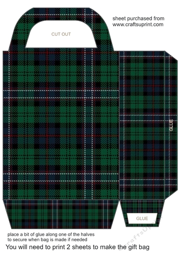 Tartan gift bag 6
