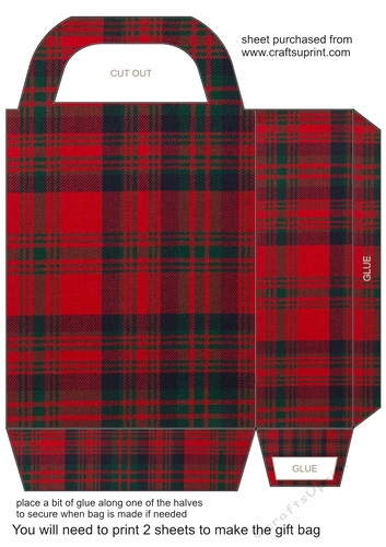 Tartan gift bag 7