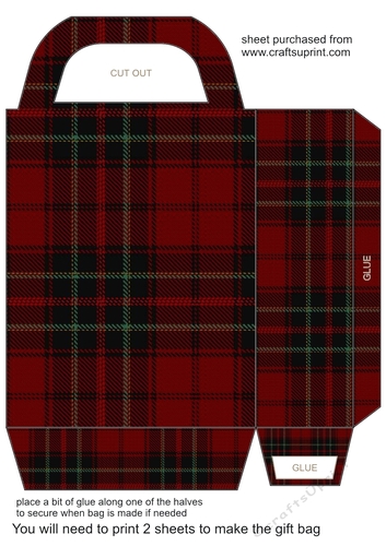 Tartan gift bag 8