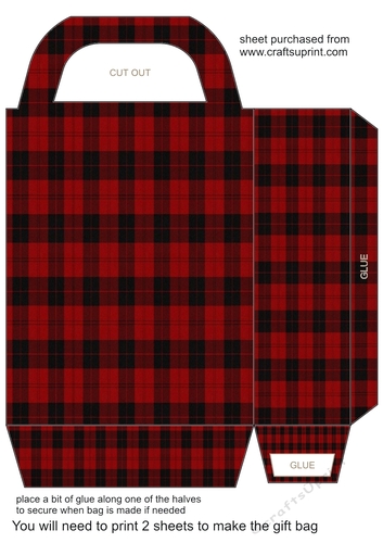 Tartan gift bag 9