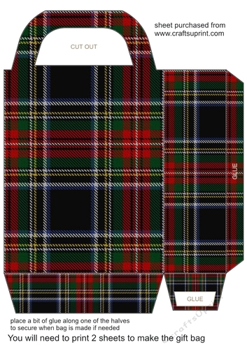 Tartan gift bag 10