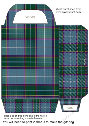 Tartan gift bag 11