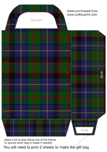Tartan gift bag 12
