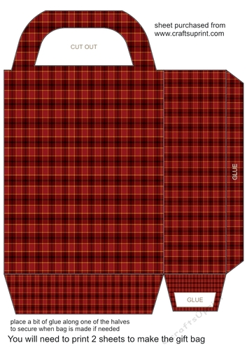 Tartan gift bag 13