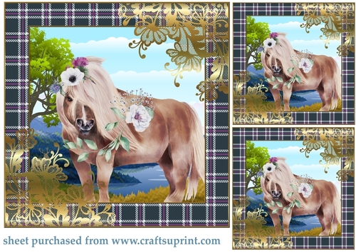 3 Floral highland pony card front/toppers 1