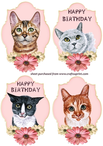 4 Cute floral cat toppers 1