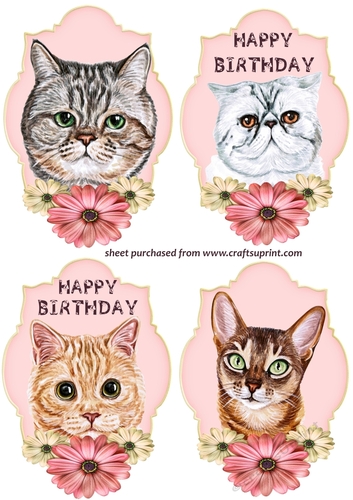 4 Cute floral cat toppers 2