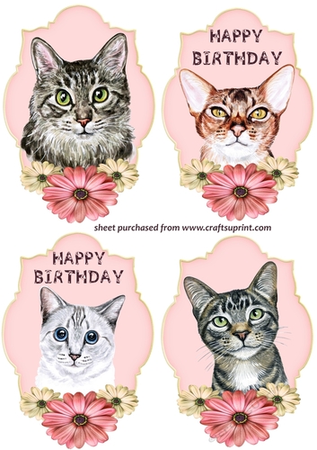 4 Cute floral cat toppers 3