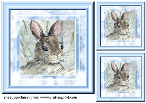 3 Blue frosty rabbit card front/toppers