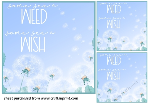 3 Some see a weed card front/toppers